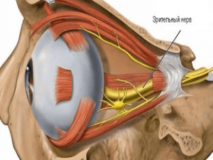 Глаукома восстановление зрительного нерва thumbnail
